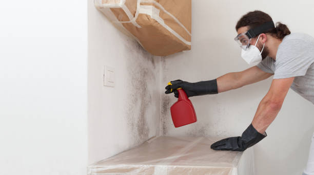 Professional Black Mold Remediation technician working in Saint Johns, FL